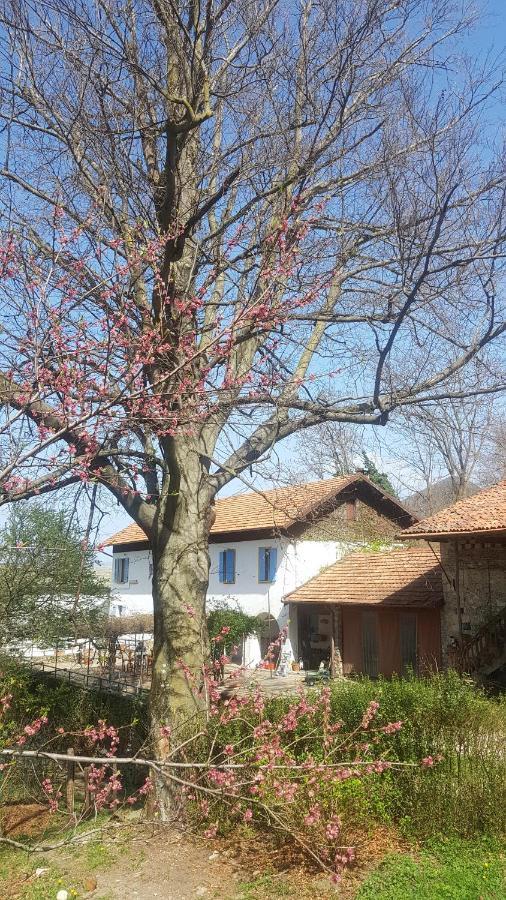 B&B Il Gatto NeroCastelveccana エクステリア 写真