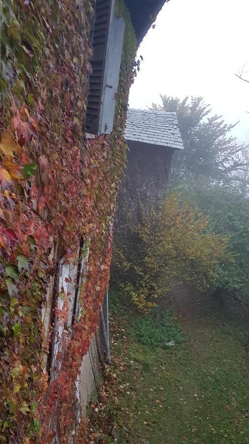B&B Il Gatto NeroCastelveccana エクステリア 写真