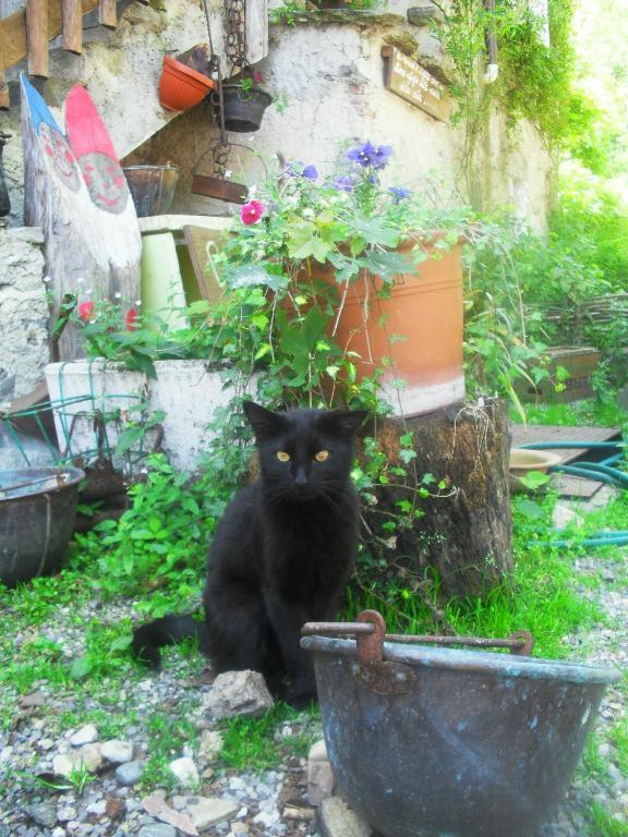 B&B Il Gatto NeroCastelveccana エクステリア 写真