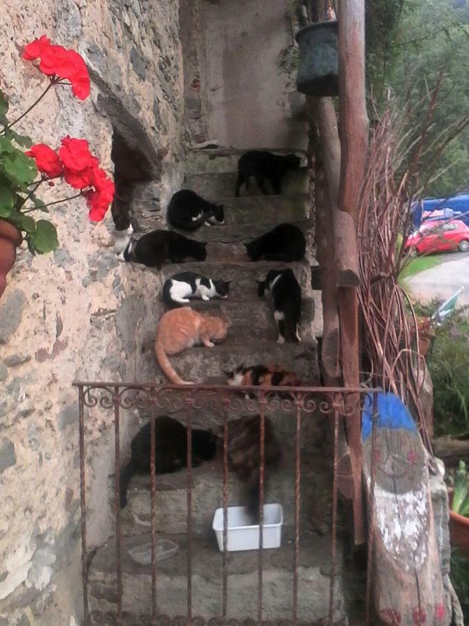 B&B Il Gatto NeroCastelveccana エクステリア 写真